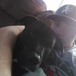 Meet your Posher, Blake